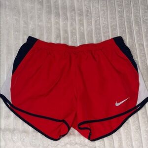 Nike Shorts | Size Medium